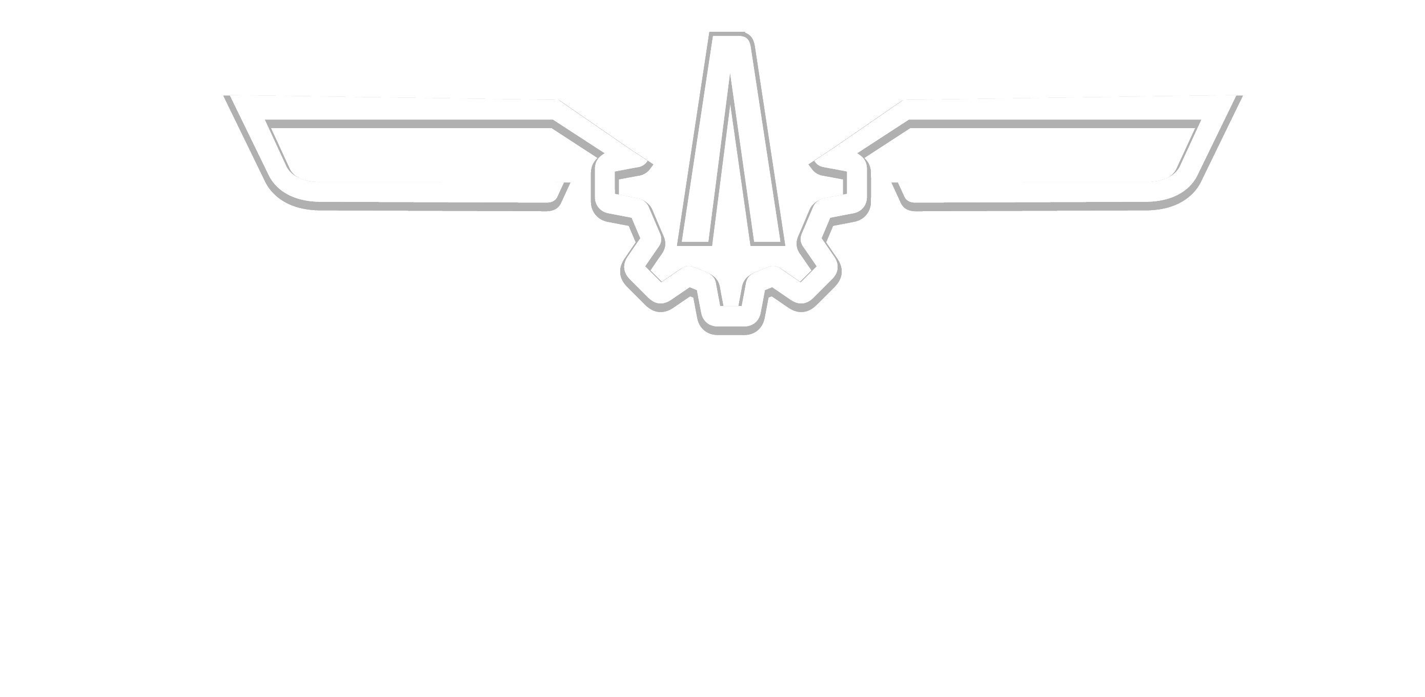 Argente Aviation